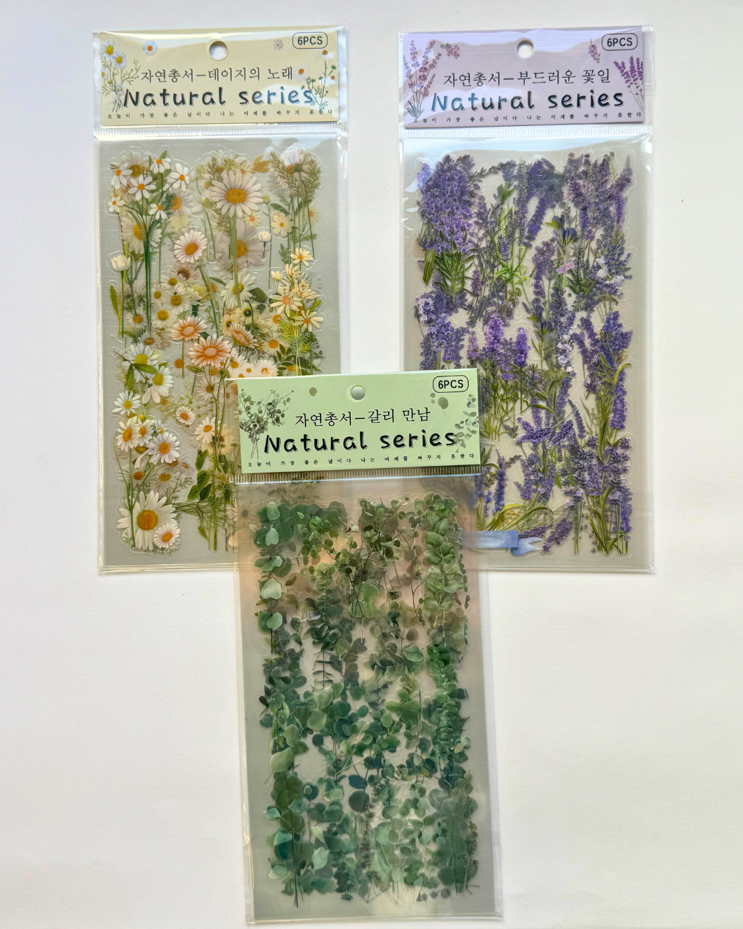 Cartela PET Adesivos Transparente Flores