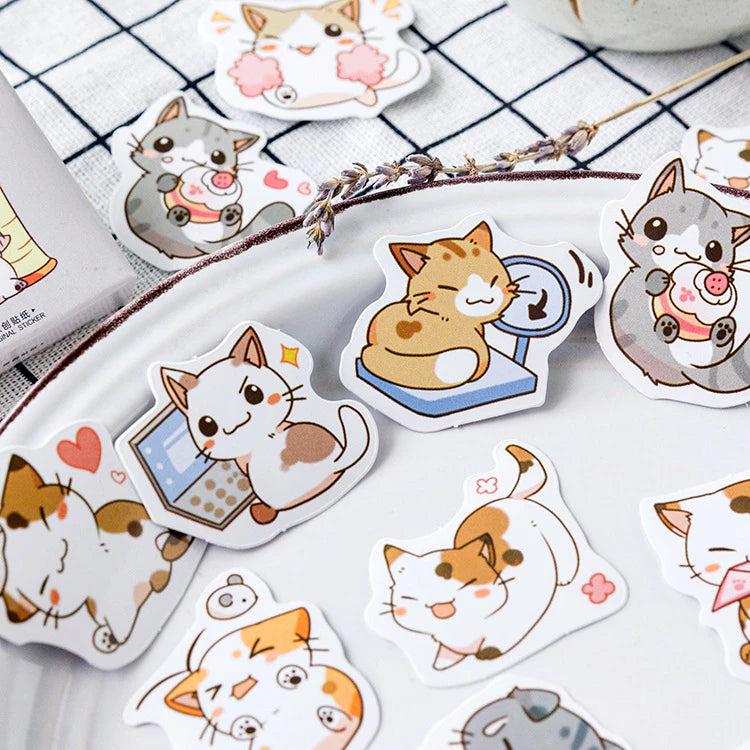 Adesivo na Caixinha Gatos Cinza - 44 adesivos decorativos