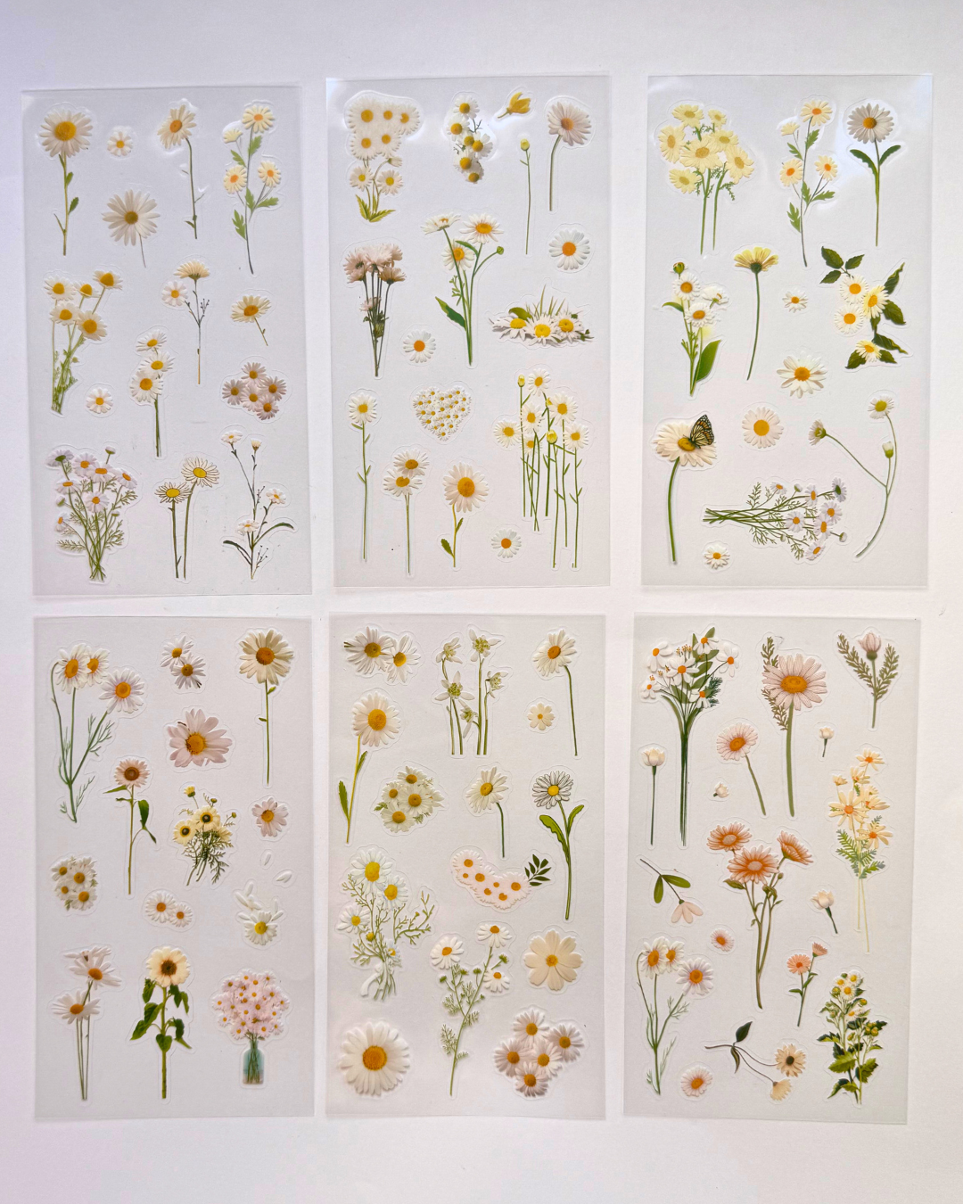 Cartela PET Adesivos Transparente Flores