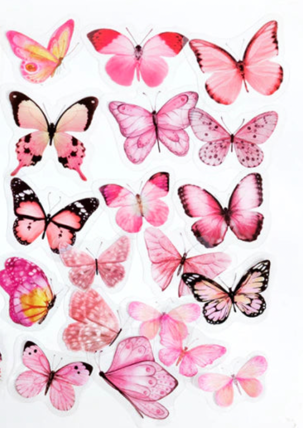Kit Meu Projeto Bujo Rosa