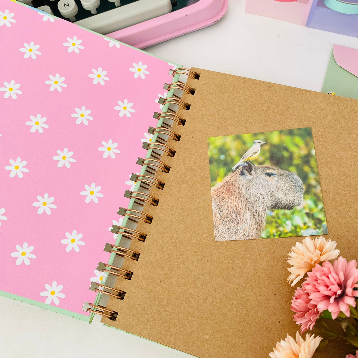 Scrapbook Capivaras 30 Folhas 19x19 cm