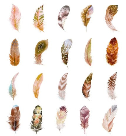Adesivos decorativos PET Pena Transparente