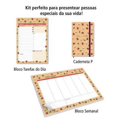 Kit 04 Joaninha