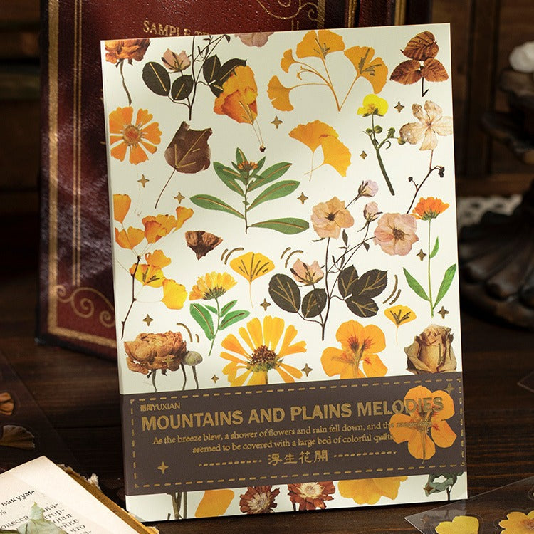 Livro de adesivos transparente Natureza - 20 páginas