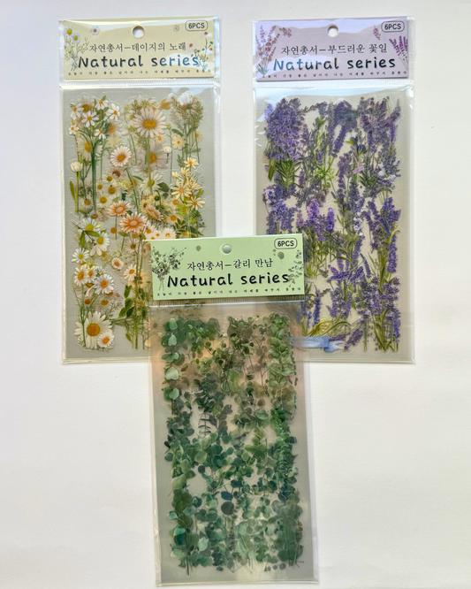 Cartela PET Adesivos Transparente Flores
