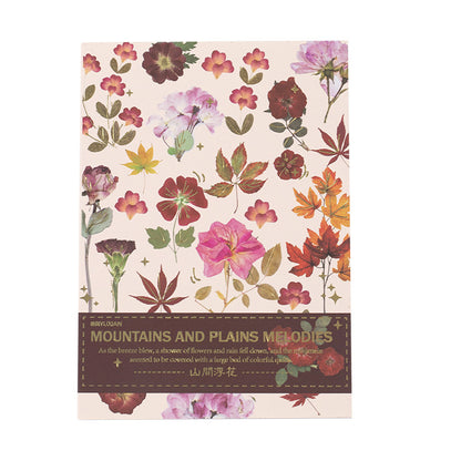 Livro de adesivos transparente Natureza - 20 páginas