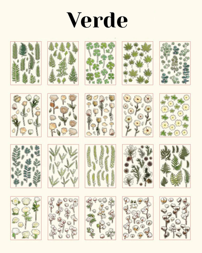 Livro de adesivos transparente Natureza - 20 páginas