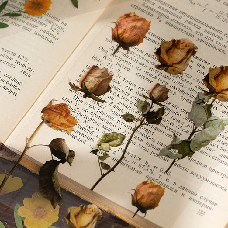 Livro de adesivos transparente Natureza - 20 páginas