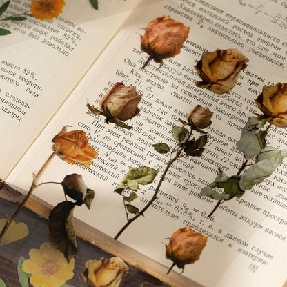 Livro de adesivos transparente Natureza - 20 páginas