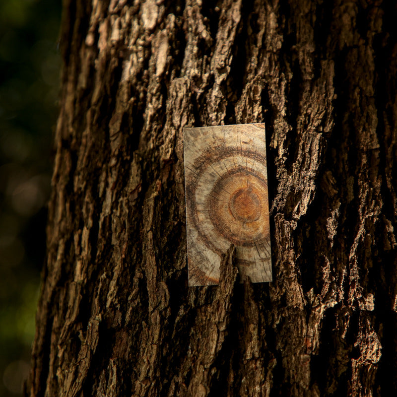 Mini Livro de Adesivos Texturas - 50 páginas