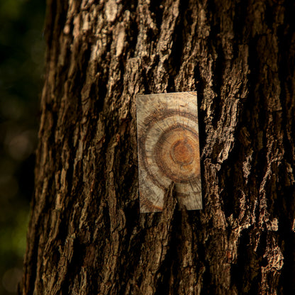 Mini Livro de Adesivos Texturas - 50 páginas