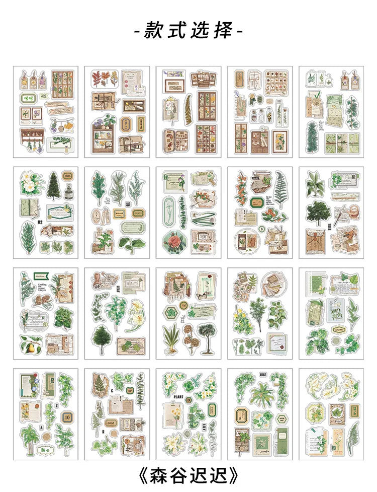 Livro Adesivo Transparente Natureza ou Lilás - 20 páginas