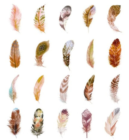 Adesivos decorativos PET Pena Transparente