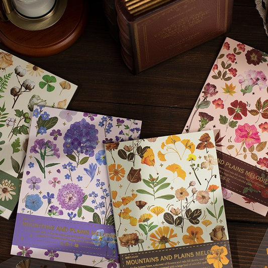 Livro de adesivos transparente Natureza - 20 páginas