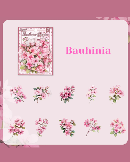 Adesivos Transparentes PET Flores Rosas