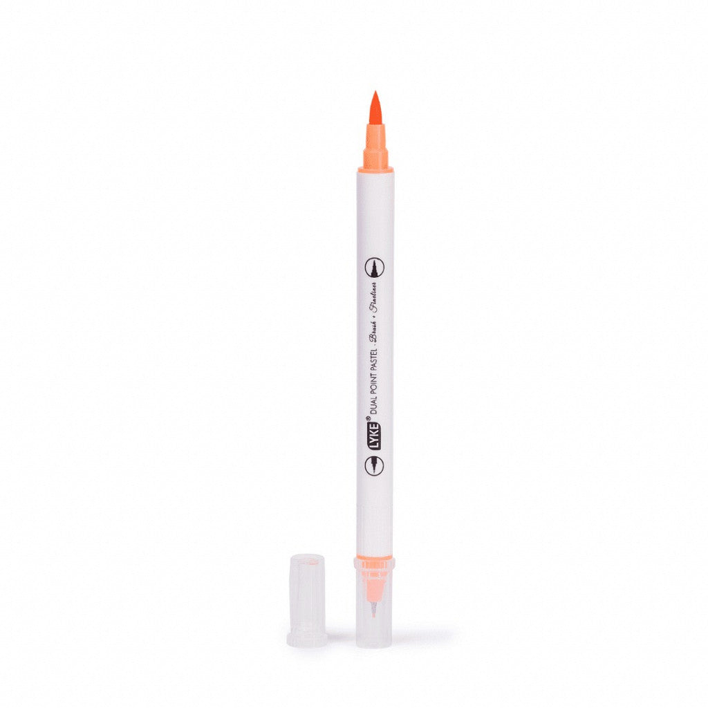 Marcador Dual point brush + fineliner 6 cores pastel - LYKE